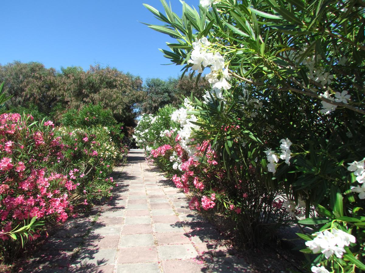 Camping Baia Paradiso Badesi Exterior photo